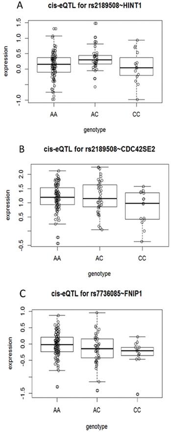 J Cancer Image