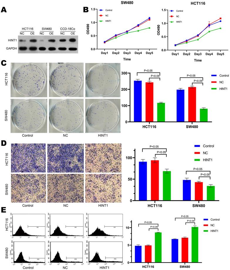 J Cancer Image