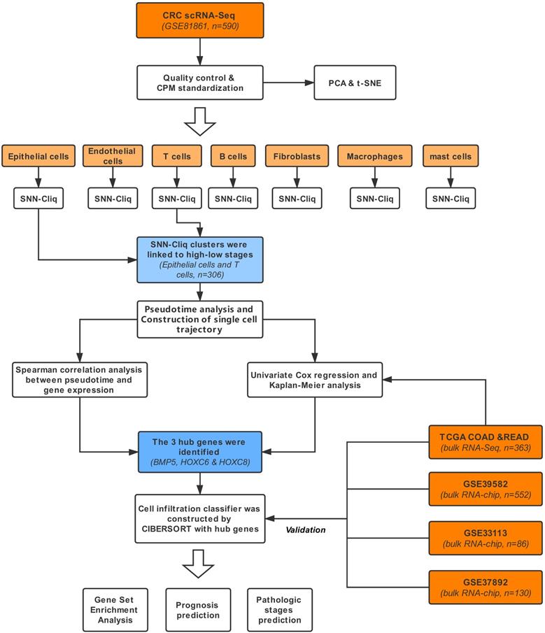 J Cancer Image