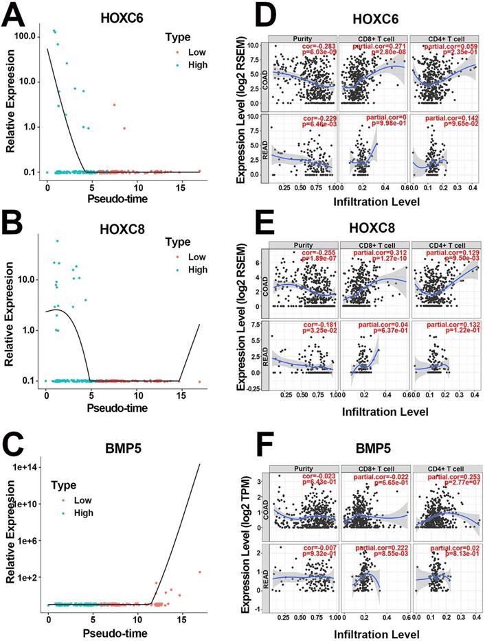 J Cancer Image