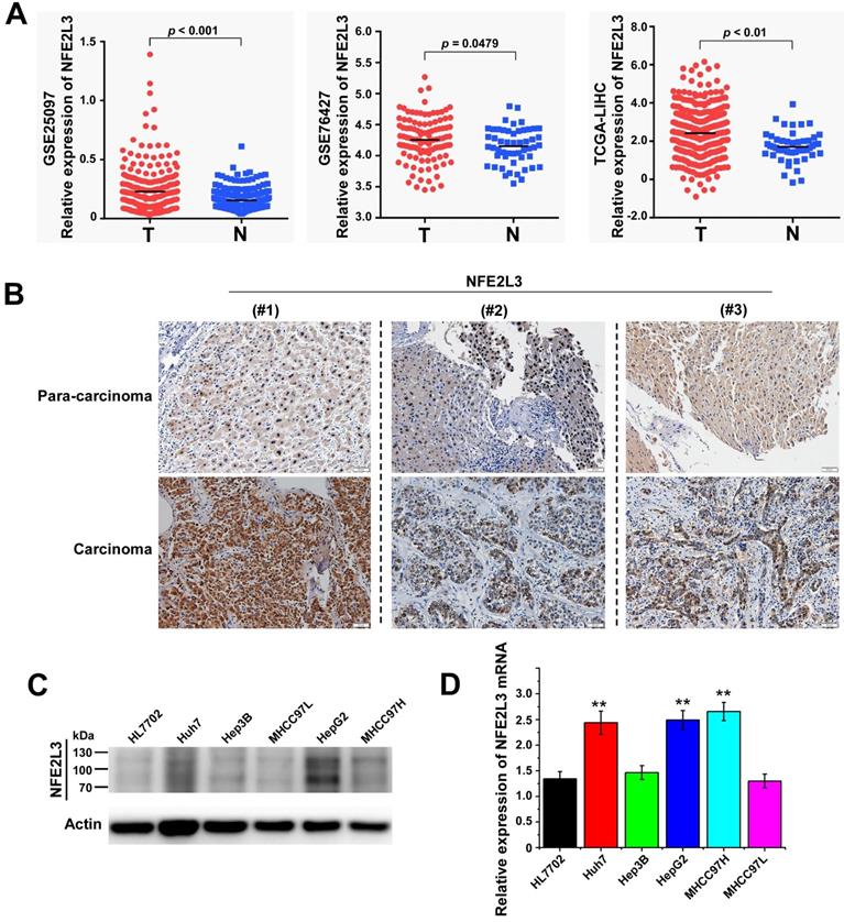 J Cancer Image