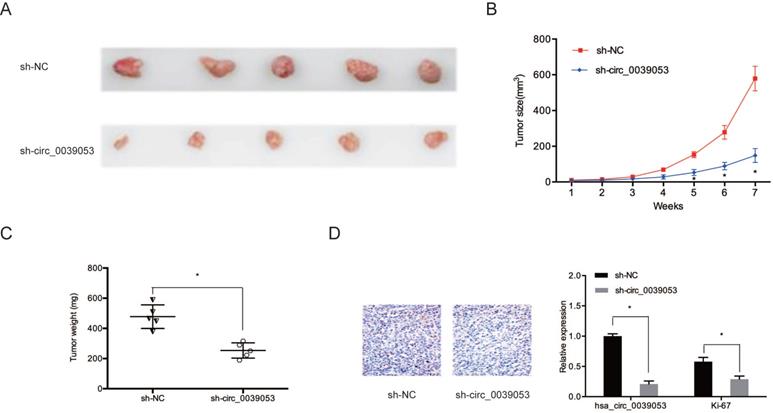 J Cancer Image