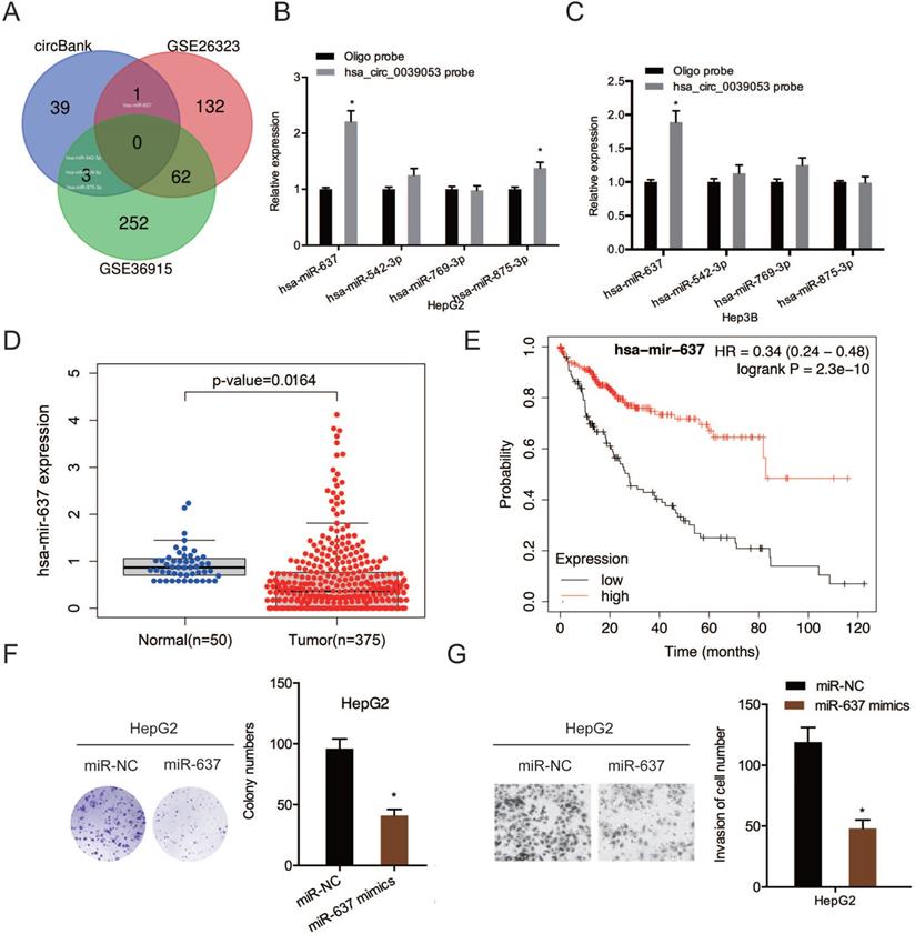 J Cancer Image