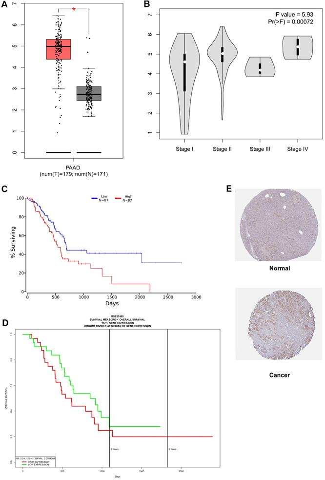 J Cancer Image