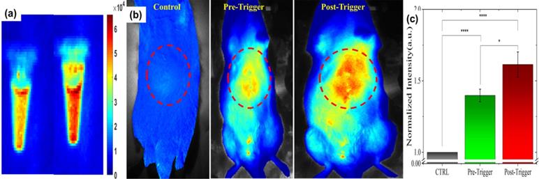 J Cancer Image