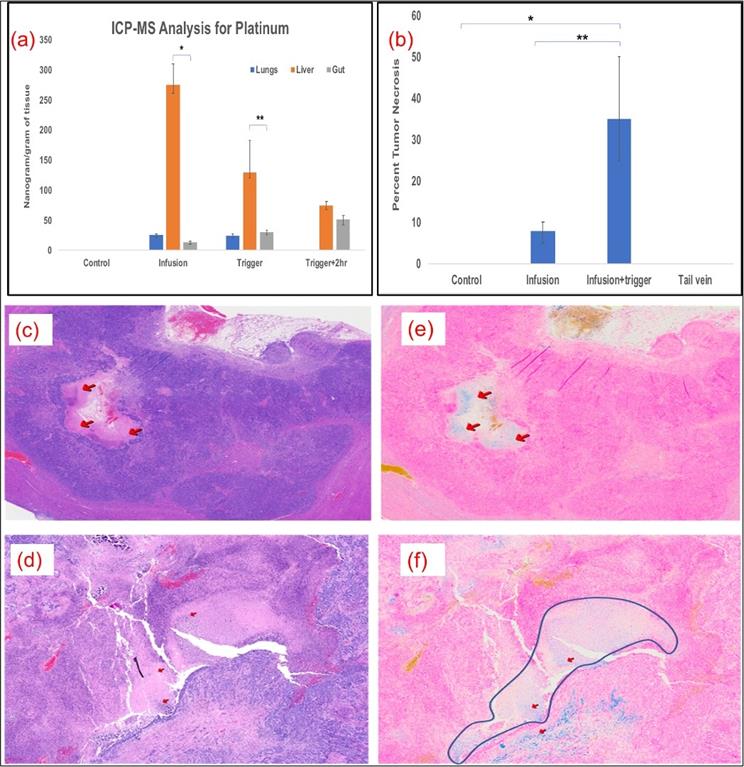 J Cancer Image