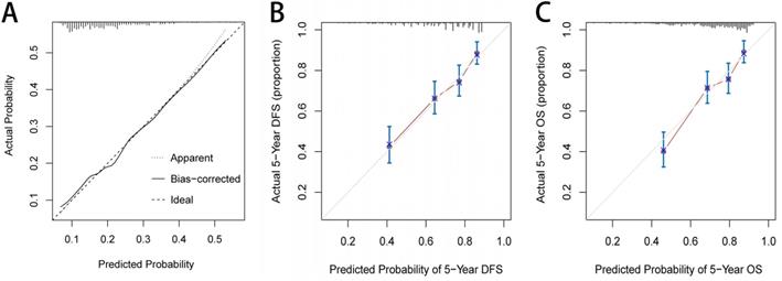 J Cancer Image