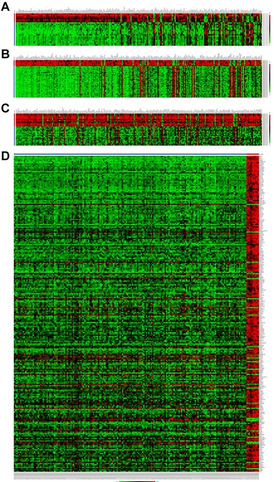 J Cancer Image