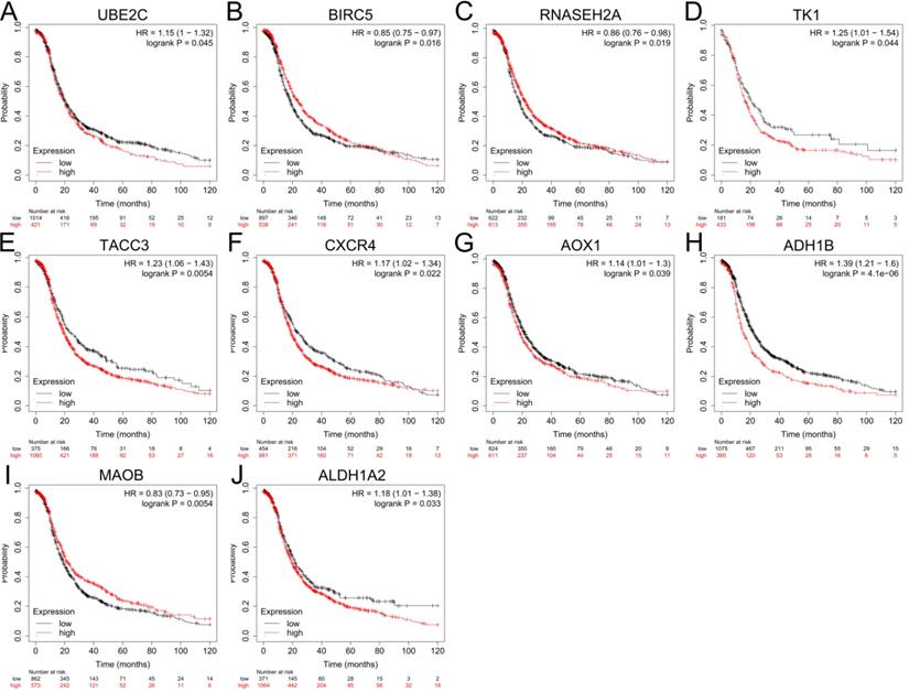 J Cancer Image