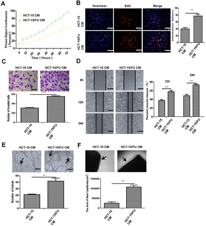 J Cancer Image