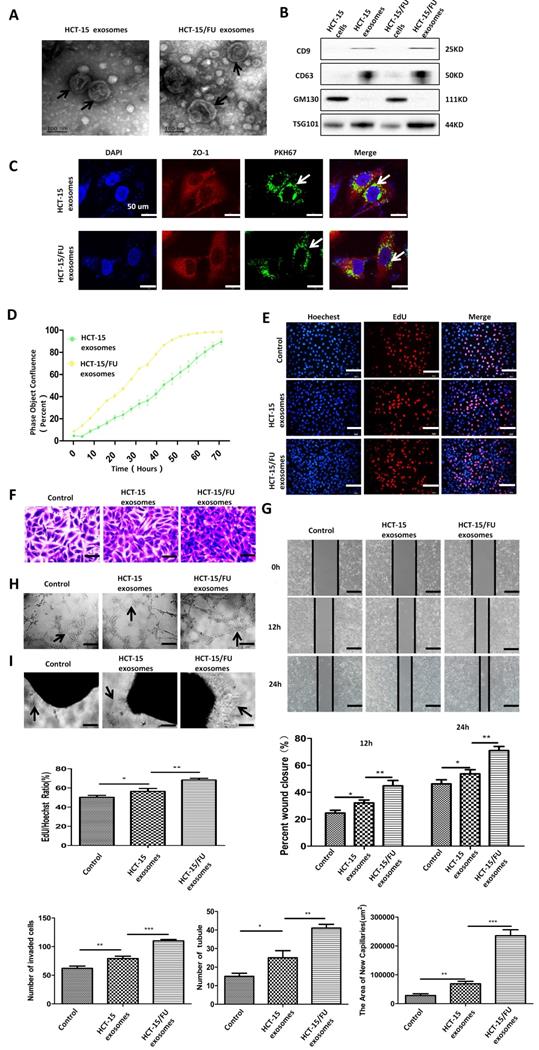 J Cancer Image