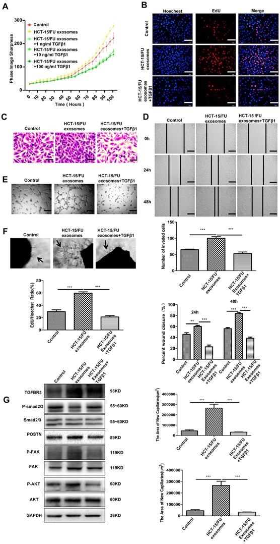 J Cancer Image