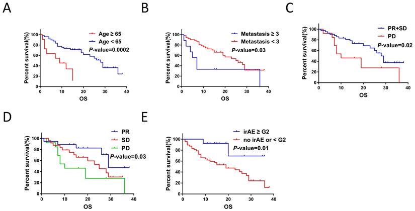 J Cancer Image