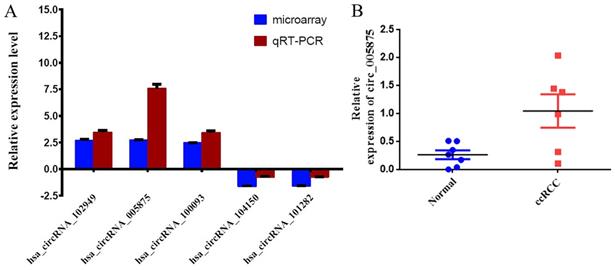 J Cancer Image