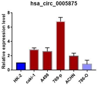 J Cancer Image