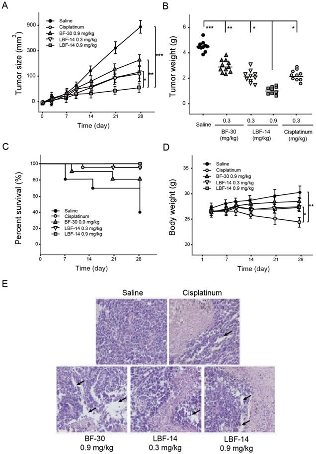 J Cancer Image