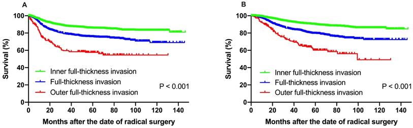 J Cancer Image