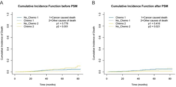 J Cancer Image