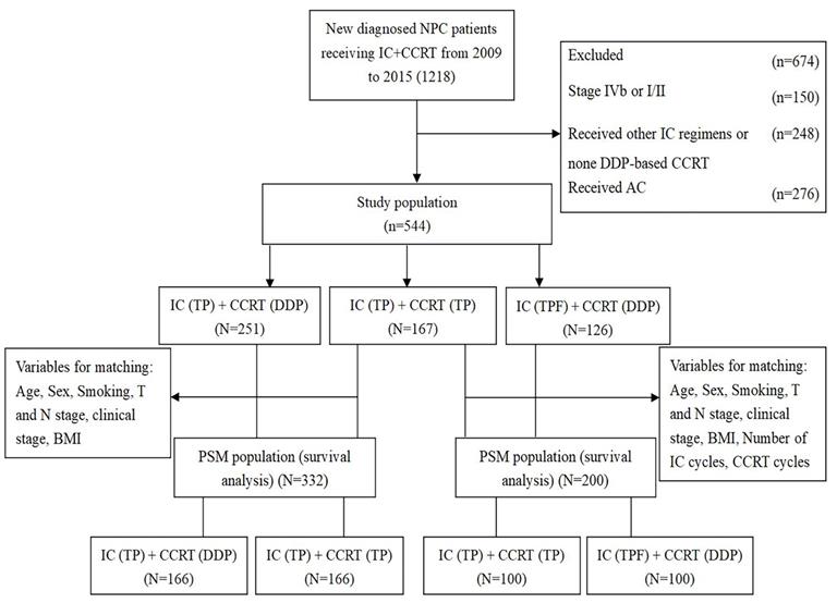 J Cancer Image