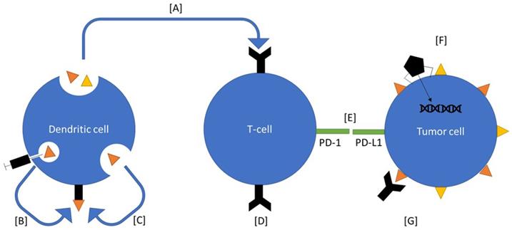 J Cancer Image