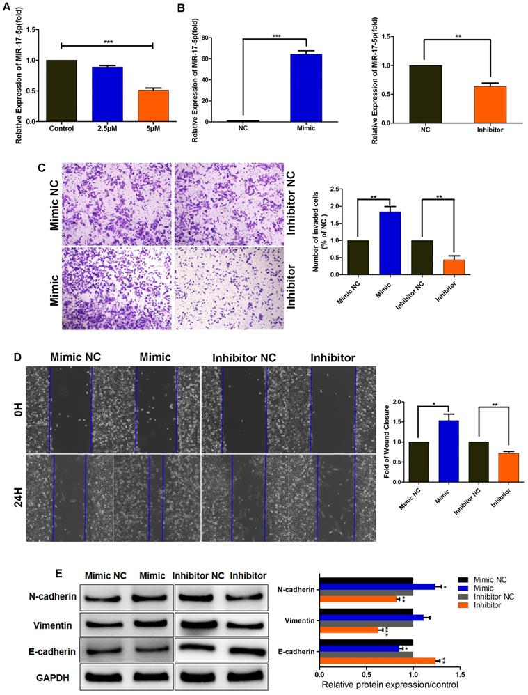 J Cancer Image