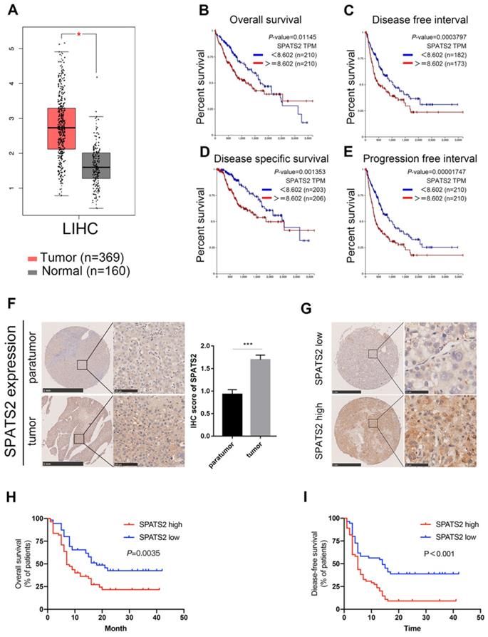 J Cancer Image