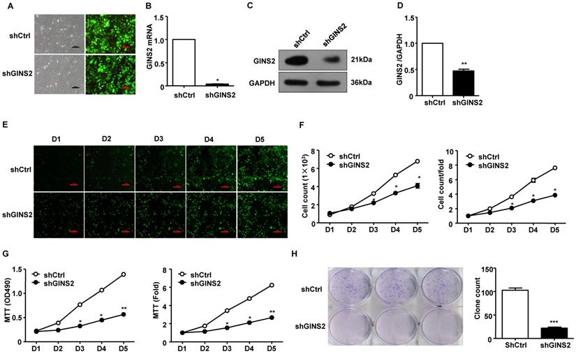 J Cancer Image