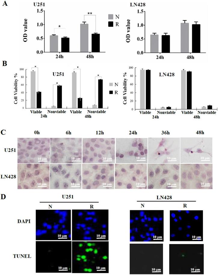 J Cancer Image