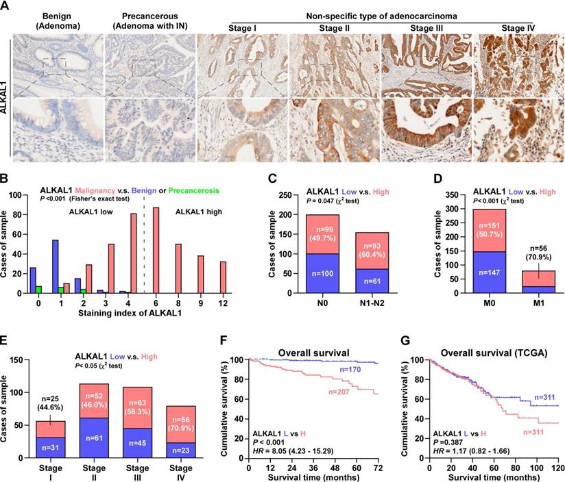 J Cancer Image