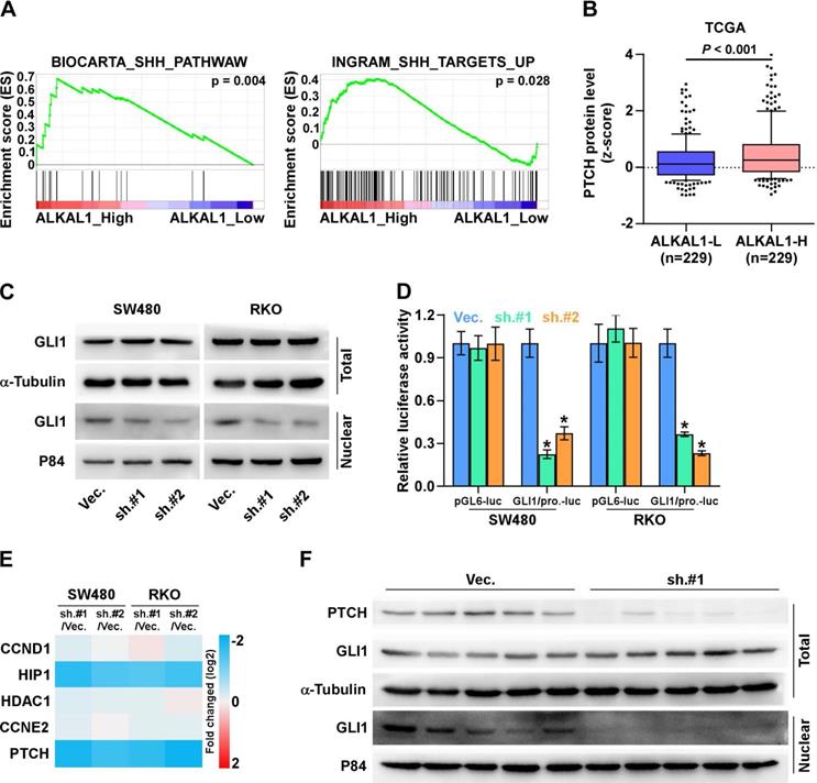 J Cancer Image