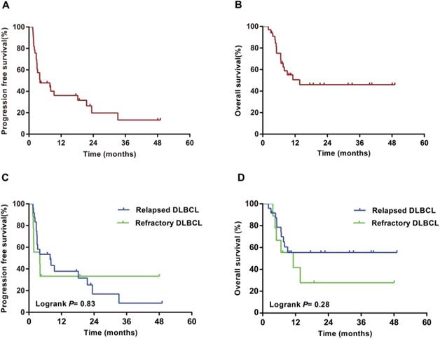 J Cancer Image