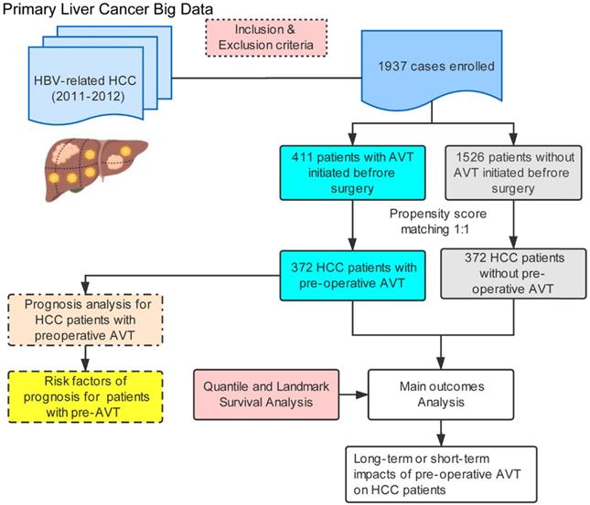 J Cancer Image