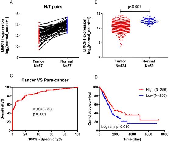 J Cancer Image