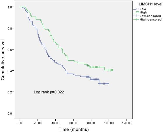 J Cancer Image