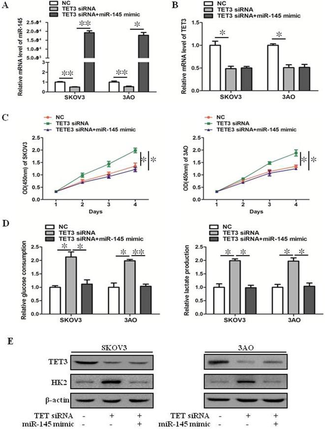 J Cancer Image