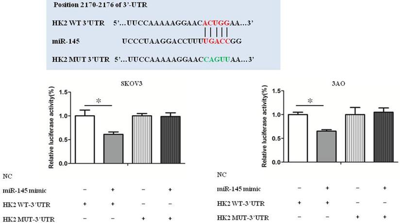 J Cancer Image