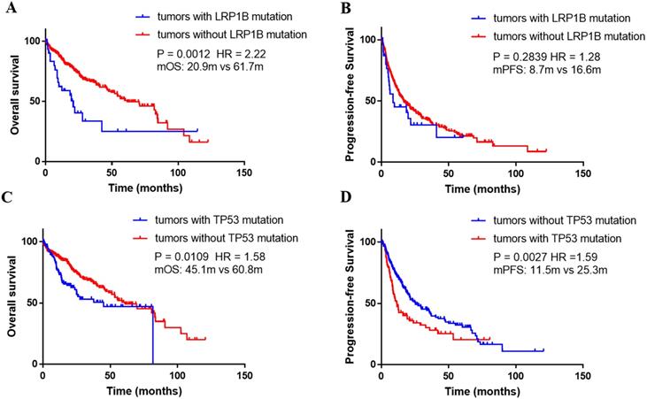 J Cancer Image