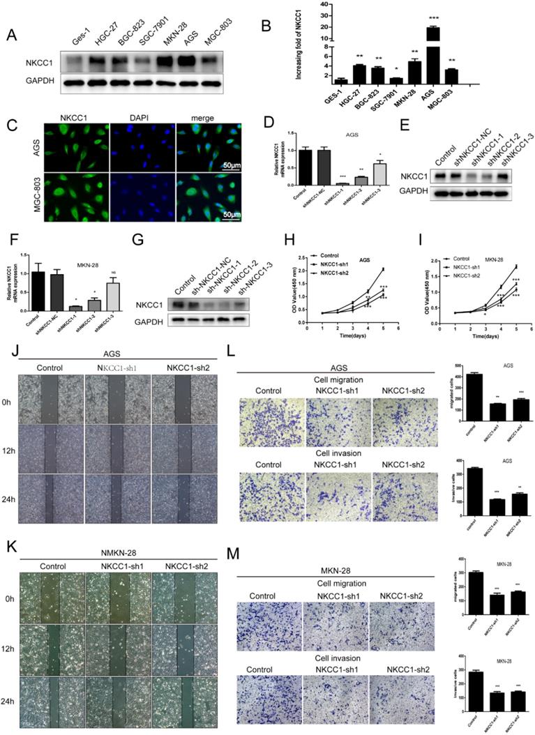 J Cancer Image