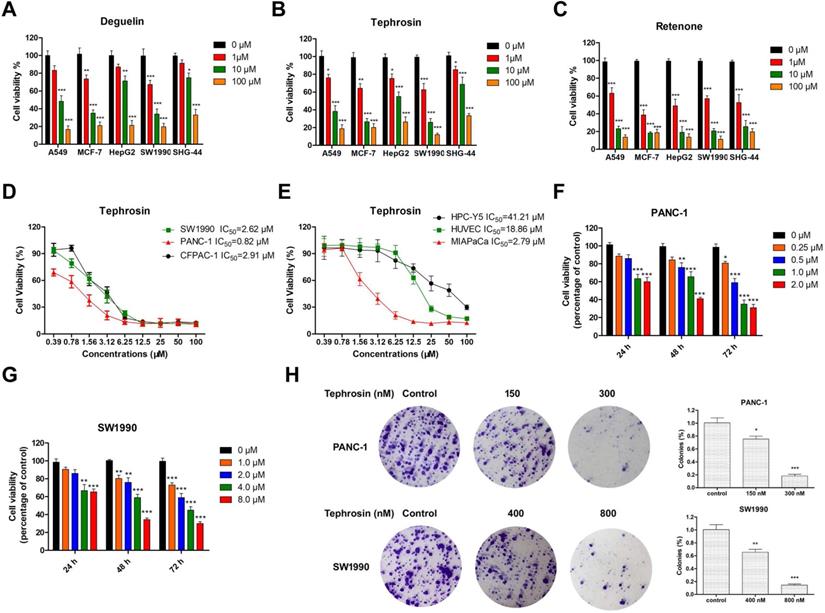 J Cancer Image