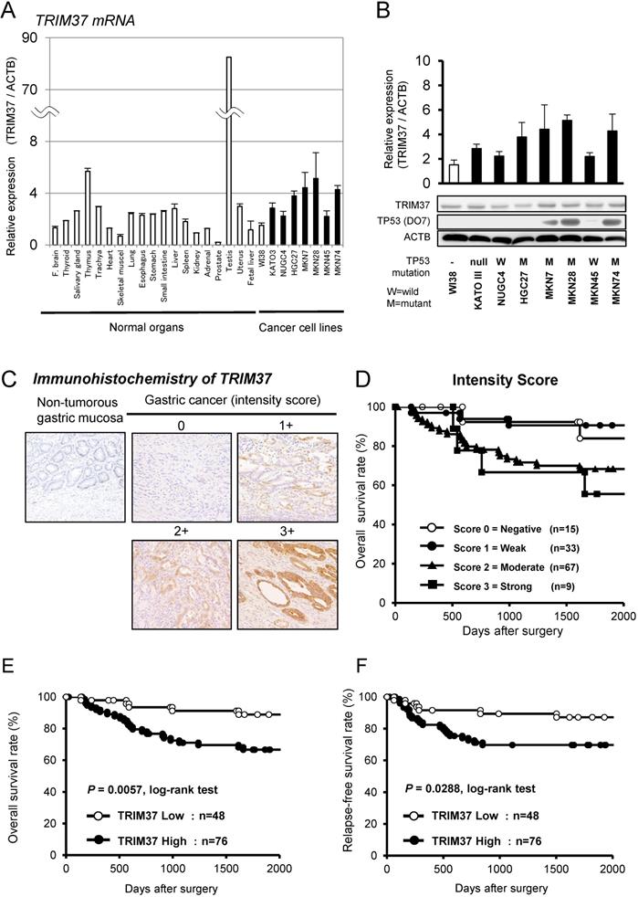 J Cancer Image