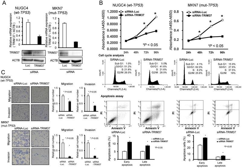 J Cancer Image