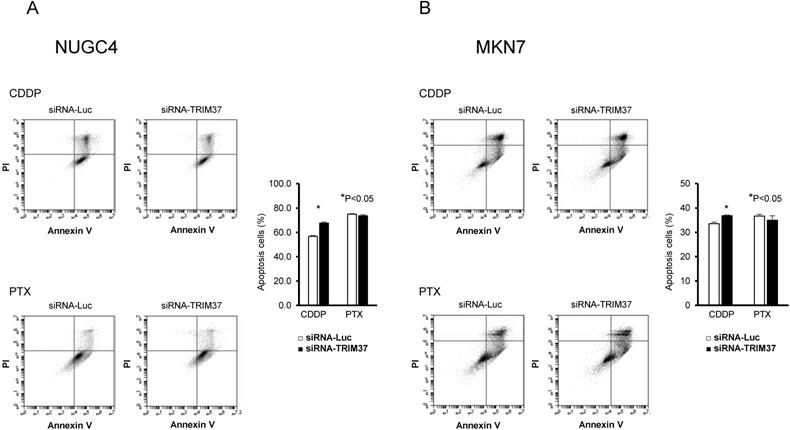 J Cancer Image