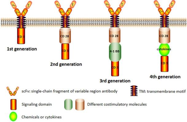 J Cancer Image