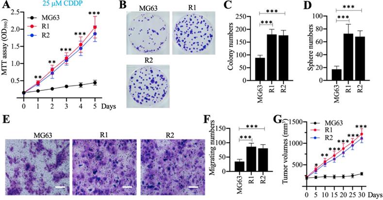 J Cancer Image