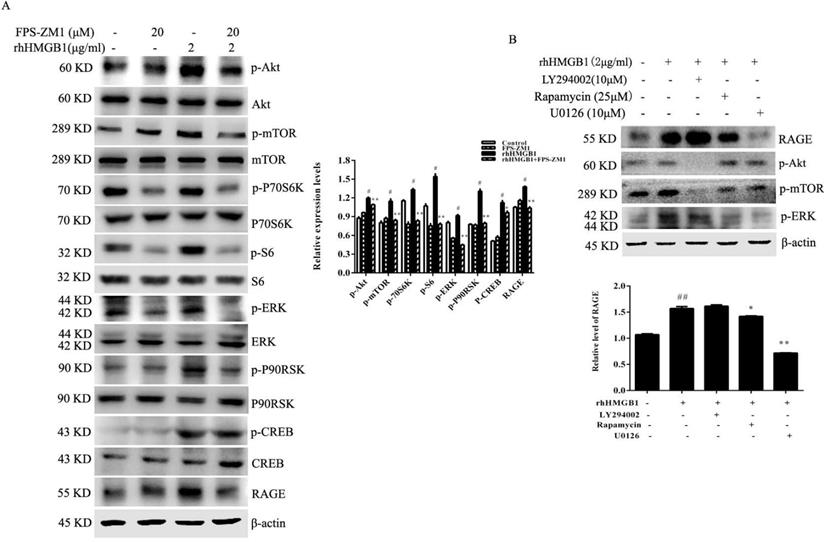 J Cancer Image