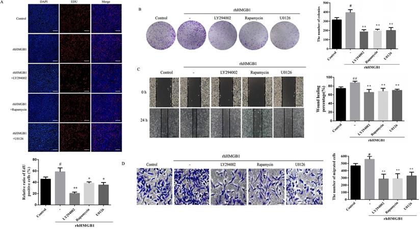 J Cancer Image