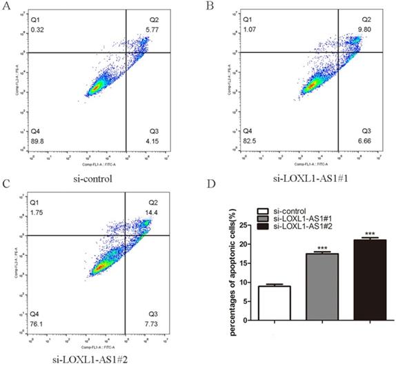 J Cancer Image