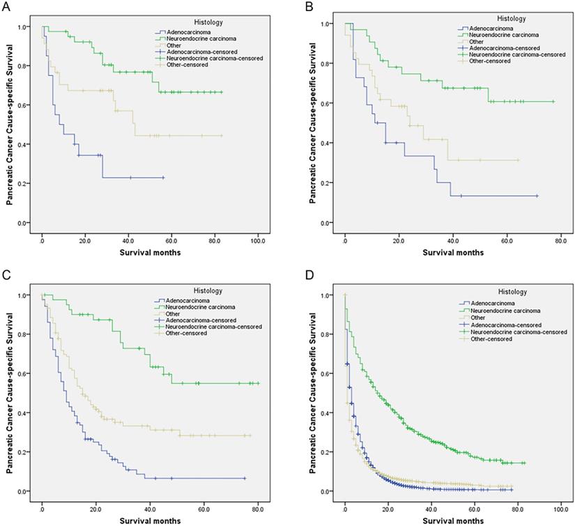 J Cancer Image