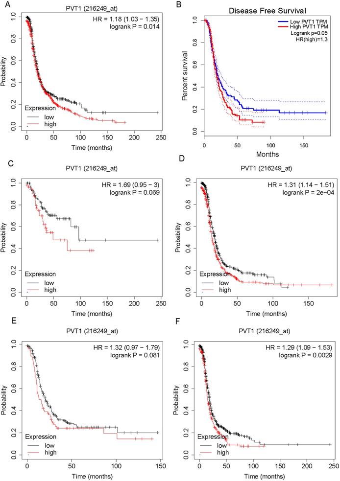 J Cancer Image