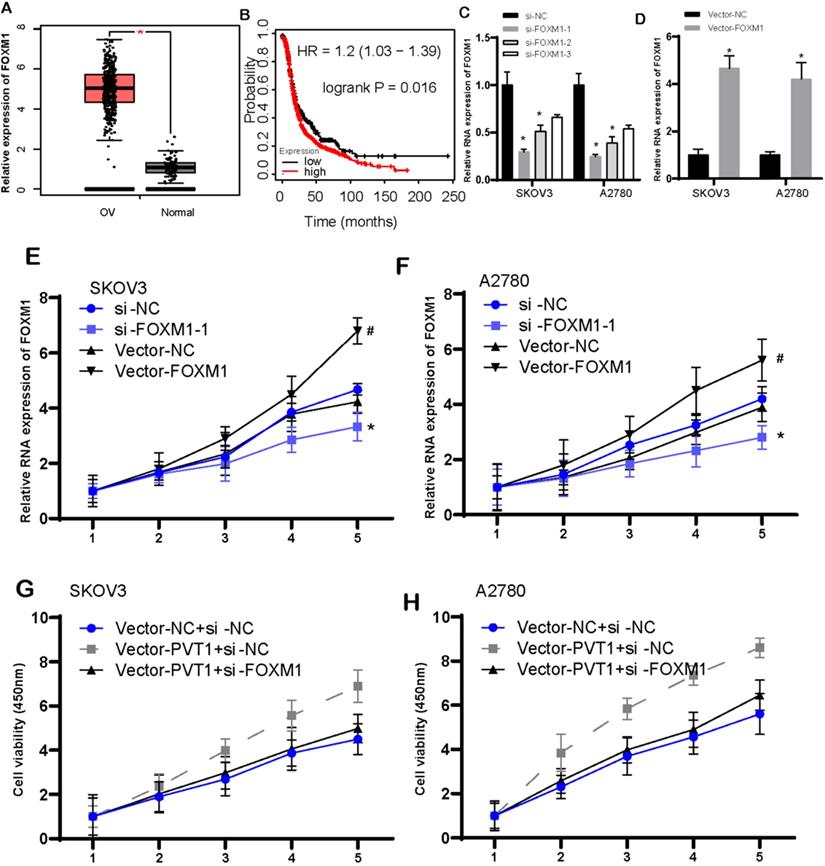 J Cancer Image